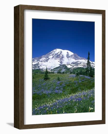 Mount Rainier and Wildflower Meadow-Terry Eggers-Framed Photographic Print