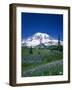 Mount Rainier and Wildflower Meadow-Terry Eggers-Framed Photographic Print