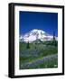 Mount Rainier and Wildflower Meadow-Terry Eggers-Framed Photographic Print