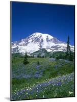Mount Rainier and Wildflower Meadow-Terry Eggers-Mounted Photographic Print