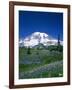 Mount Rainier and Wildflower Meadow-Terry Eggers-Framed Photographic Print