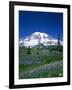 Mount Rainier and Wildflower Meadow-Terry Eggers-Framed Photographic Print