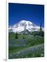 Mount Rainier and Wildflower Meadow-Terry Eggers-Framed Photographic Print