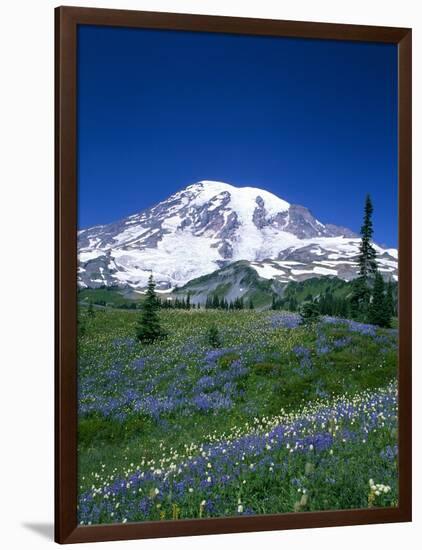 Mount Rainier and Wildflower Meadow-Terry Eggers-Framed Photographic Print