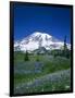 Mount Rainier and Wildflower Meadow-Terry Eggers-Framed Photographic Print