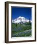 Mount Rainier and Wildflower Meadow-Terry Eggers-Framed Photographic Print