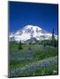 Mount Rainier and Wildflower Meadow-Terry Eggers-Mounted Photographic Print