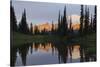 Mount Rainier at Dawn-Ken Archer-Stretched Canvas