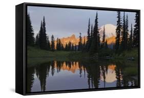 Mount Rainier at Dawn-Ken Archer-Framed Stretched Canvas