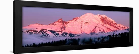 Mount Rainier at Dawn-Douglas Taylor-Framed Art Print