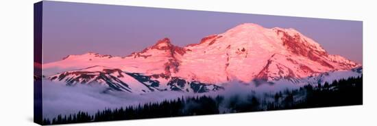 Mount Rainier at Dawn-Douglas Taylor-Stretched Canvas