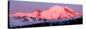 Mount Rainier at Dawn-Douglas Taylor-Stretched Canvas