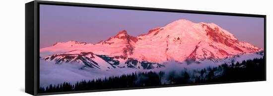 Mount Rainier at Dawn-Douglas Taylor-Framed Stretched Canvas