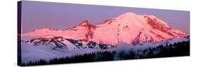 Mount Rainier at Dawn-Douglas Taylor-Stretched Canvas