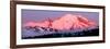 Mount Rainier at Dawn-Douglas Taylor-Framed Premium Giclee Print