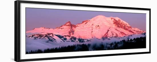 Mount Rainier at Dawn-Douglas Taylor-Framed Premium Giclee Print