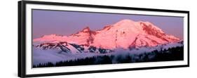 Mount Rainier at Dawn-Douglas Taylor-Framed Premium Giclee Print