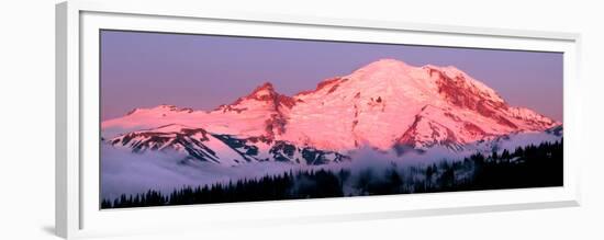 Mount Rainier at Dawn-Douglas Taylor-Framed Premium Giclee Print