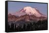 Mount Rainier at sunrise in Mount Rainier National Park, Washington State, USA-Chuck Haney-Framed Stretched Canvas