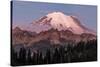 Mount Rainier at sunrise in Mount Rainier National Park, Washington State, USA-Chuck Haney-Stretched Canvas