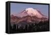 Mount Rainier at sunrise in Mount Rainier National Park, Washington State, USA-Chuck Haney-Framed Stretched Canvas