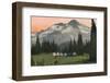 'Mount Rainier from Indian Henry's', c1916-Asahel Curtis-Framed Photographic Print