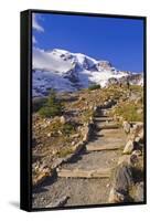 Mount Rainier from the Skyline Trail, Paradise Park, Mount Rainier National Park, Washington State,-Russ Bishop-Framed Stretched Canvas