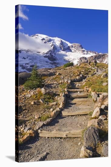 Mount Rainier from the Skyline Trail, Paradise Park, Mount Rainier National Park, Washington State,-Russ Bishop-Stretched Canvas