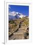 Mount Rainier from the Skyline Trail, Paradise Park, Mount Rainier National Park, Washington State,-Russ Bishop-Framed Photographic Print