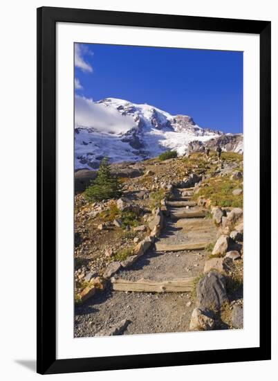 Mount Rainier from the Skyline Trail, Paradise Park, Mount Rainier National Park, Washington State,-Russ Bishop-Framed Photographic Print