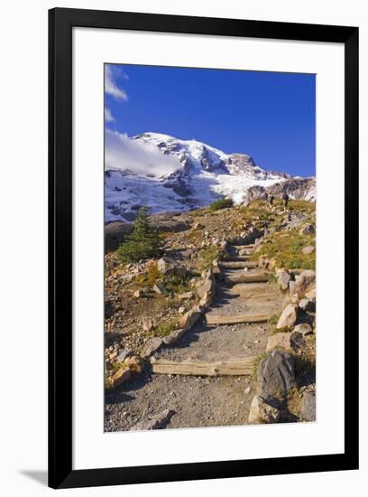 Mount Rainier from the Skyline Trail, Paradise Park, Mount Rainier National Park, Washington State,-Russ Bishop-Framed Photographic Print