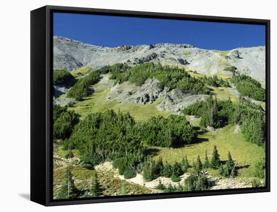 Mount Rainier in the Mt. Rainier National Park in Washington State, USA-Robert Francis-Framed Stretched Canvas