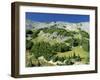 Mount Rainier in the Mt. Rainier National Park in Washington State, USA-Robert Francis-Framed Photographic Print