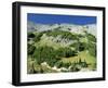 Mount Rainier in the Mt. Rainier National Park in Washington State, USA-Robert Francis-Framed Photographic Print