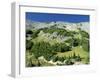 Mount Rainier in the Mt. Rainier National Park in Washington State, USA-Robert Francis-Framed Photographic Print