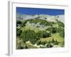 Mount Rainier in the Mt. Rainier National Park in Washington State, USA-Robert Francis-Framed Photographic Print