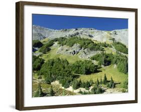 Mount Rainier in the Mt. Rainier National Park in Washington State, USA-Robert Francis-Framed Photographic Print