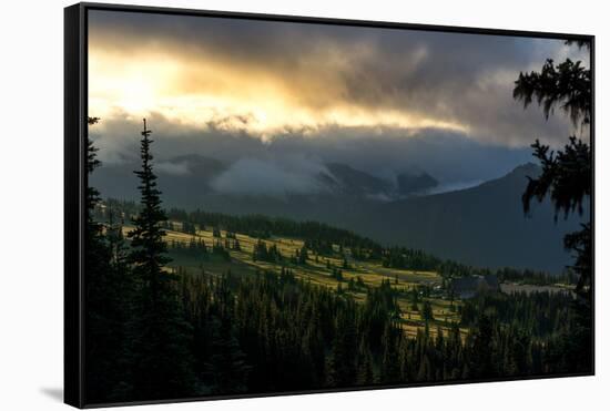 Mount Rainier meadows at sunrise, Cascade Ranges, Washington State, United States of America, North-Tyler Lillico-Framed Stretched Canvas