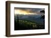 Mount Rainier meadows at sunrise, Cascade Ranges, Washington State, United States of America, North-Tyler Lillico-Framed Photographic Print