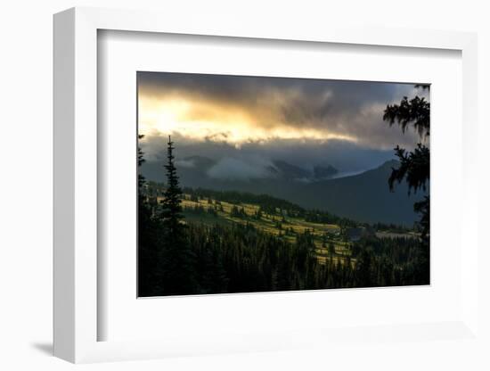 Mount Rainier meadows at sunrise, Cascade Ranges, Washington State, United States of America, North-Tyler Lillico-Framed Photographic Print