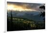 Mount Rainier meadows at sunrise, Cascade Ranges, Washington State, United States of America, North-Tyler Lillico-Framed Photographic Print