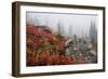 Mount Rainier National Park, Autumn Fog-Ken Archer-Framed Photographic Print