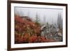Mount Rainier National Park, Autumn Fog-Ken Archer-Framed Photographic Print