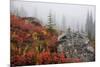 Mount Rainier National Park, Autumn Fog-Ken Archer-Mounted Photographic Print