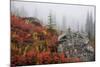 Mount Rainier National Park, Autumn Fog-Ken Archer-Mounted Photographic Print