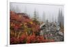 Mount Rainier National Park, Autumn Fog-Ken Archer-Framed Photographic Print