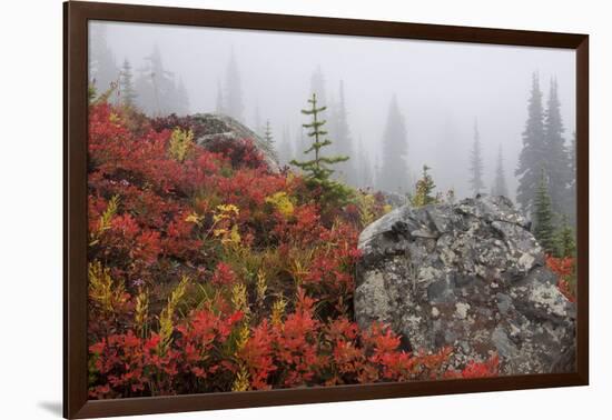 Mount Rainier National Park, Autumn Fog-Ken Archer-Framed Photographic Print