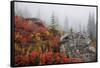 Mount Rainier National Park, Autumn Fog-Ken Archer-Framed Stretched Canvas