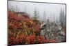 Mount Rainier National Park, Autumn Fog-Ken Archer-Mounted Photographic Print