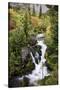 Mount Rainier National Park, Autumn Stream-Ken Archer-Stretched Canvas